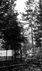 170666 Callahan LO Tree & Camp, Umpqua NF, OR 1922 photo