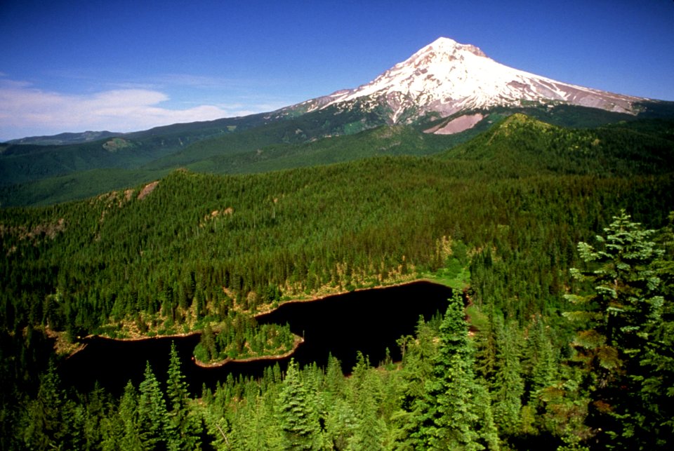 Cast Lake Mt Hood National Forest.jpg
