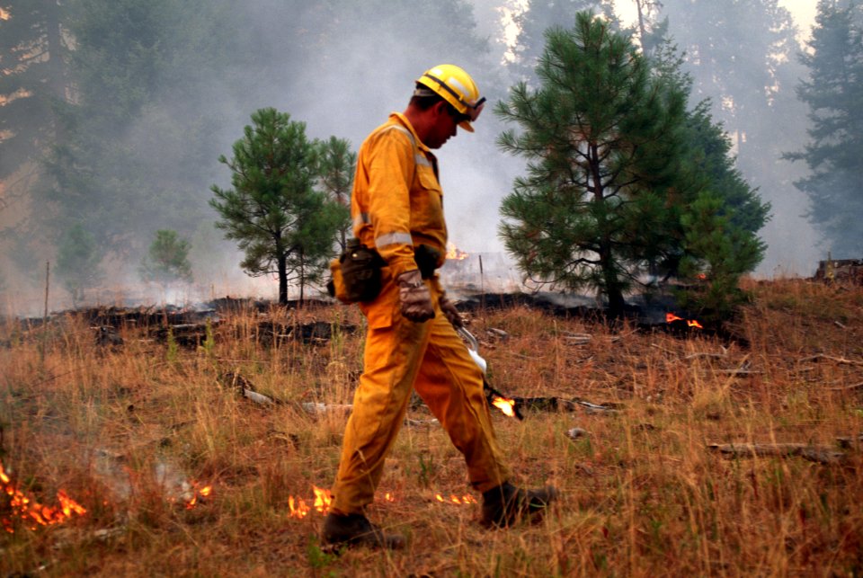 172 Ochoco National Forest Hash Rock Fire photo