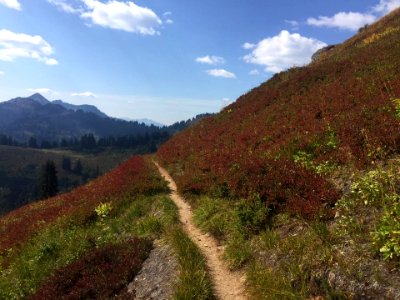 Trail PCT OkaWenNFbyMasonSchuurUSFS2019