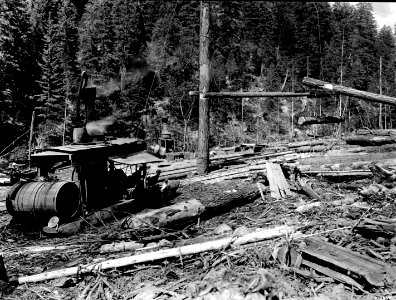 216357 Westfir Logging Operation (SPRR Photo), OR 1926