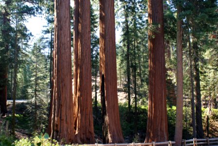 Kings Canyon National Park, California