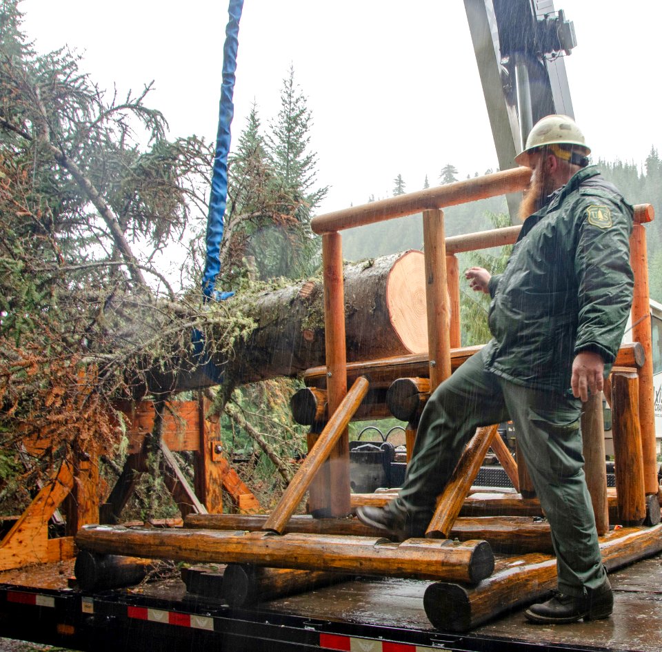 Tree Cutting FS Employee On Truck