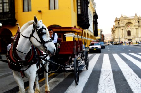 Paseo en carruaje