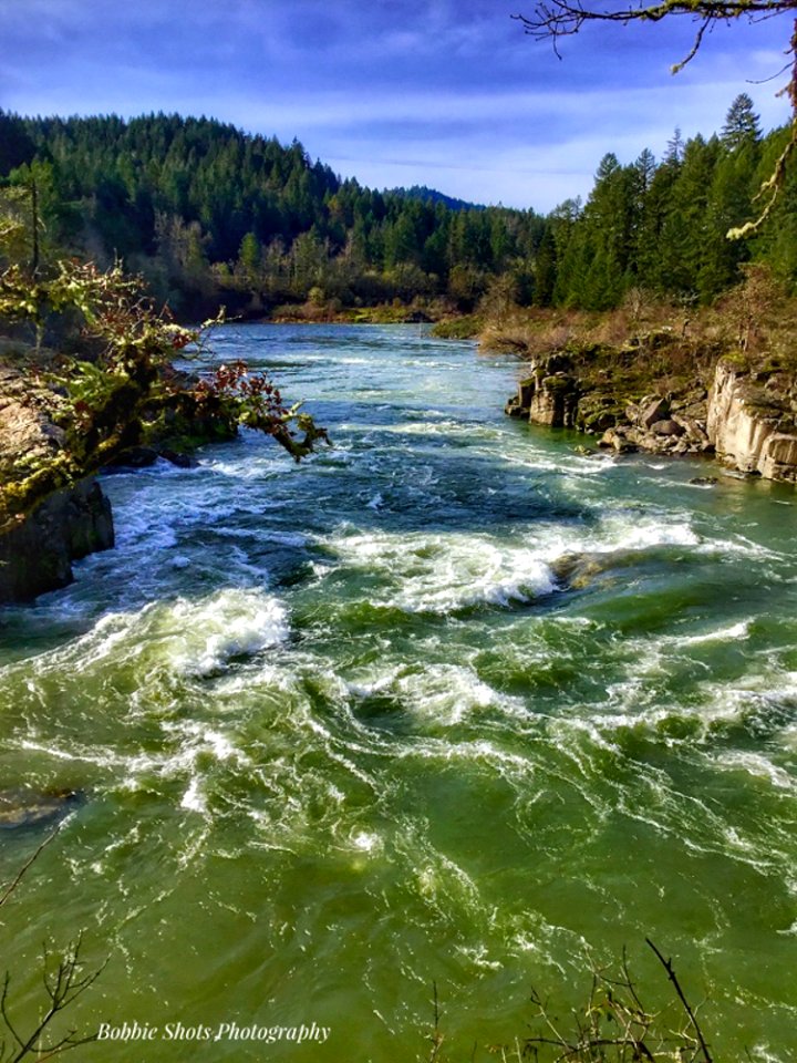 image11jpg 48800665448 o