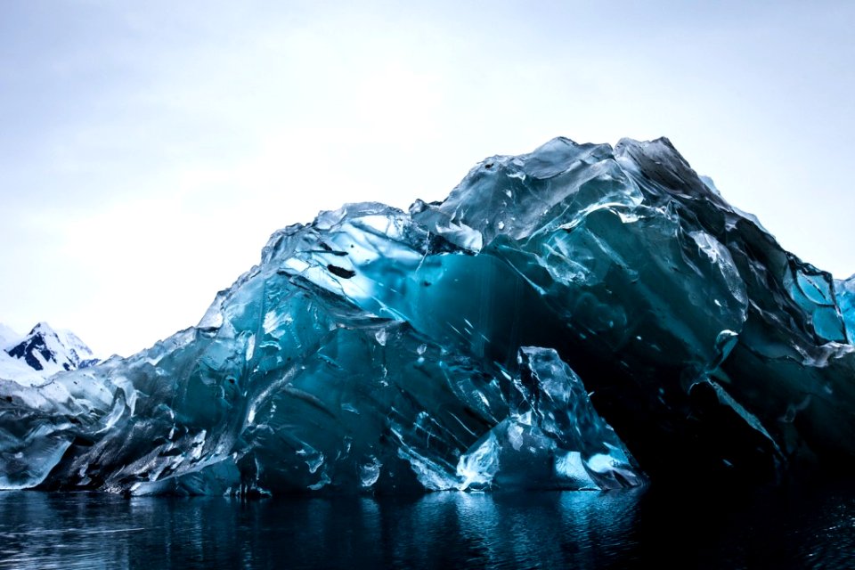 14.99% da Antártica é coberto pelo gelo.  A geleira cobrindo os continentes é frequentemente chamado de Ice Shee