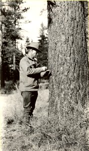 16100-1 Walter J Perry taking increment borings near Fox Butte 1930