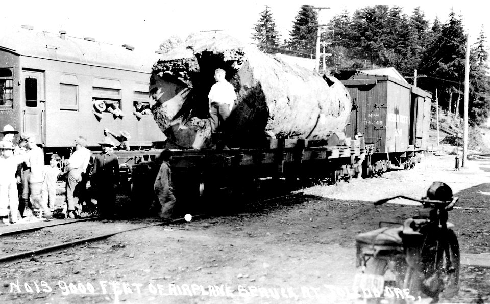 No. 13 9000 Feet of Airplane Spruce at Toldeo Ore.