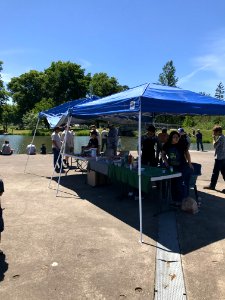 Christmas ornament crafts at Free Fishing Day in Sweet Home on June 2, 2018