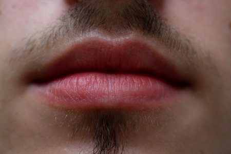 Mouth and lips photo