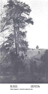 land18