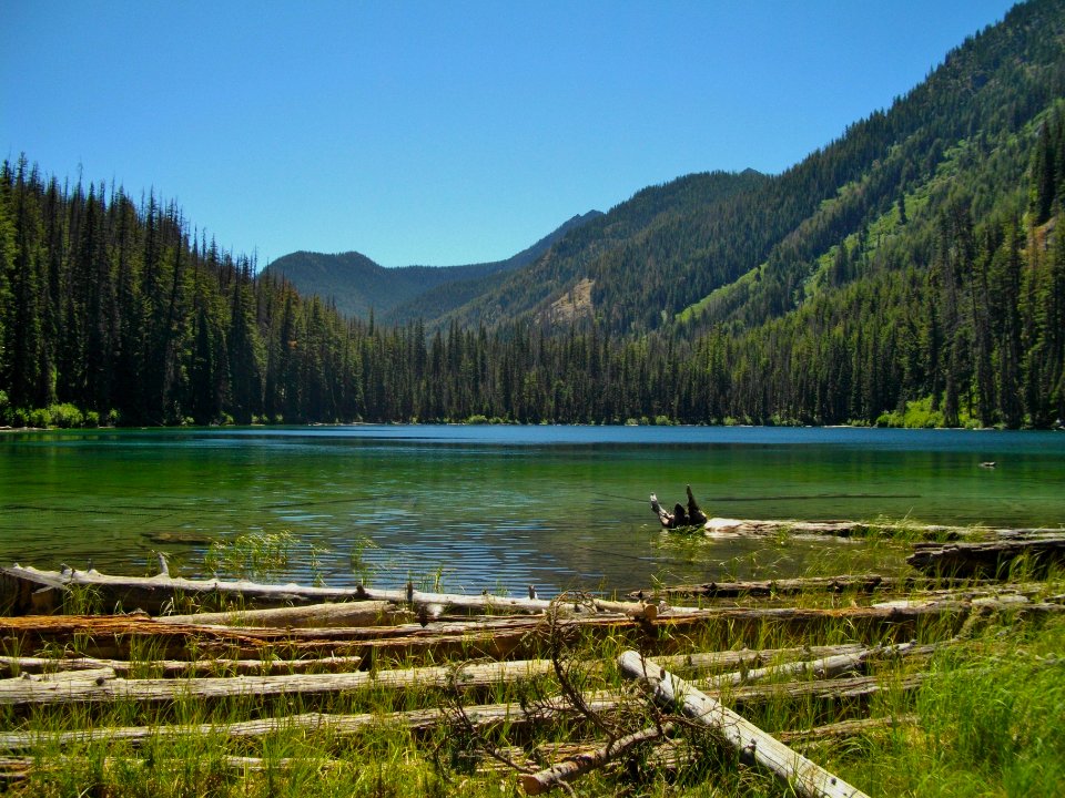 Mytle Lake EntiatRD OkaWenNF 2014June byPatrickHerman