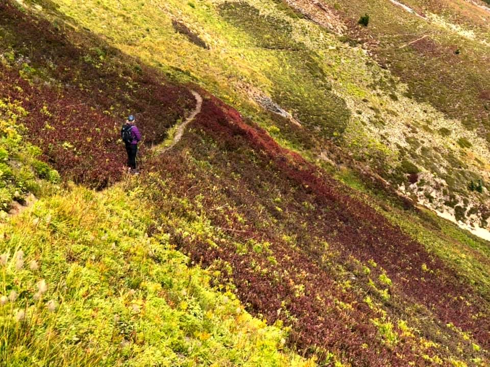 Hiker-WalkingAcrossHillsideTurningColorInFall-LittleGiantPassWRRD-OkaWenNFbyMasonSchuur 2019-09-14