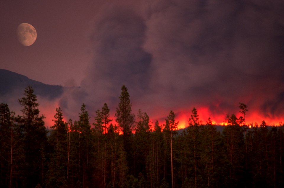 053 Deschutes National Forest McKay Butte Fire