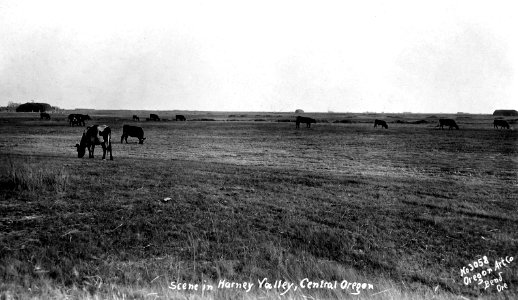 No 3058 Scene in Harvey Valley, Central Oregon -  Oregon Art Co.