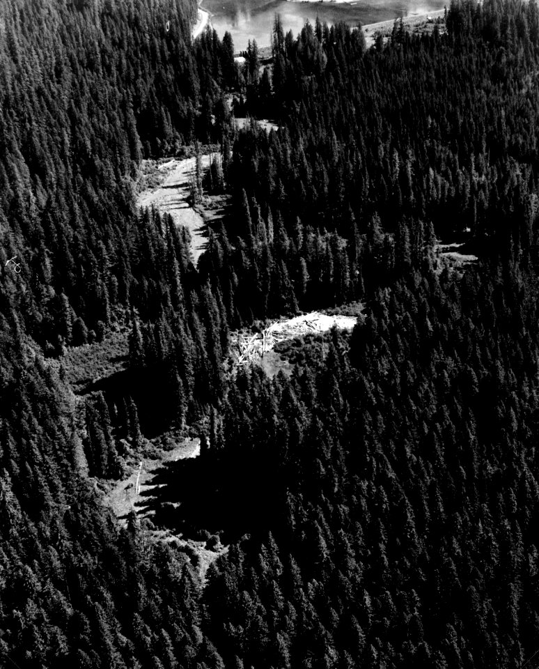 Willamette NF - Beaver Marsh below Carmen Diversion Dam, McKenzie River, OR 1973