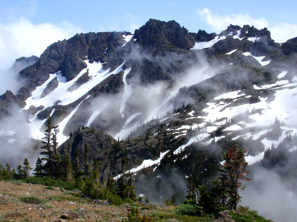 Looking south from Marmot Pass area, Buckhorn Wilderness on the Olympic National Forest photo