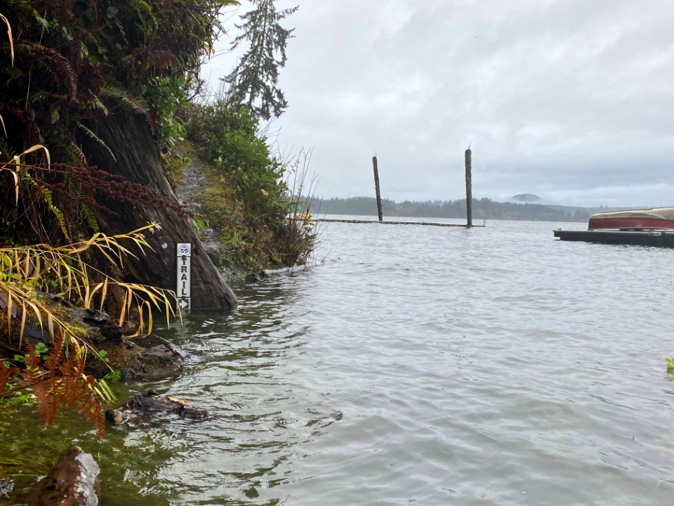 2020-11-18 Olympic Quinault Lake trail flood USFS photo by Kelsey Dyer