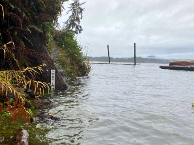 2020-11-18 Olympic Quinault Lake trail flood USFS photo by Kelsey Dyer