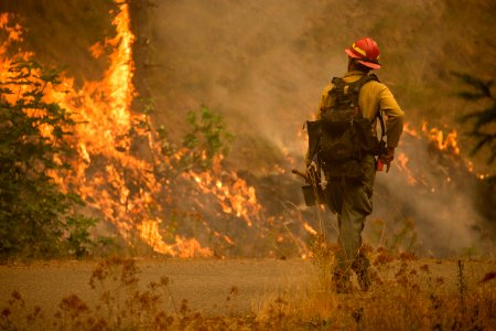 Firefighter, Umpqua National Forest Fires, 2017