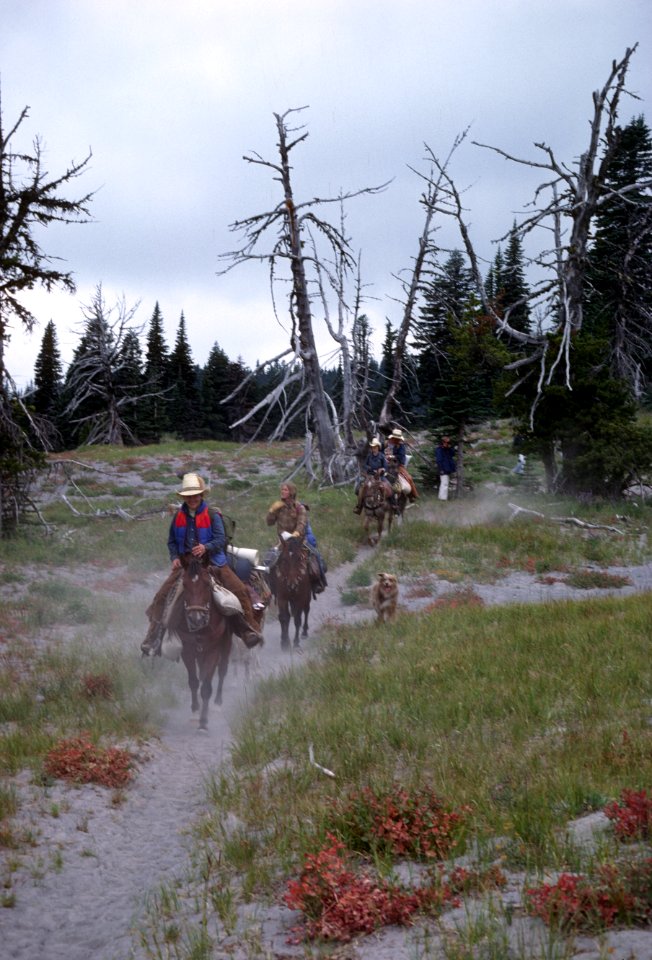 Horseback riders on the Pacific Crest National Scenic Trail, Mt Hood National Forest