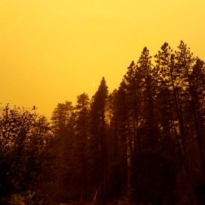 Smoky sky, Lionshead Fire, 9-15-2020