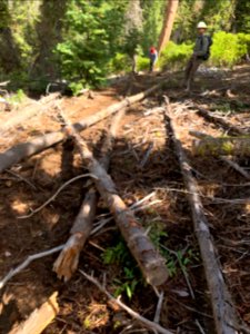 Deschutes NF Decommissioned non-system user trail due to sensitive wildlife habitat.