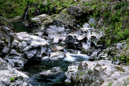 Rogue River-Siskiyou National Forest, Elk Creek.jpg