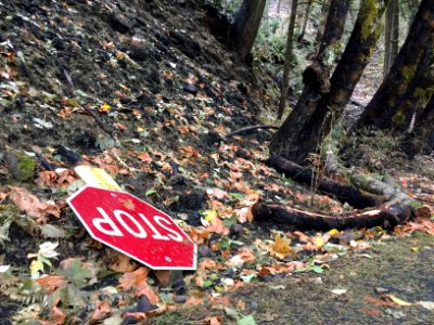 Along the historic highway near Oneota Tunnel September 25, 2017