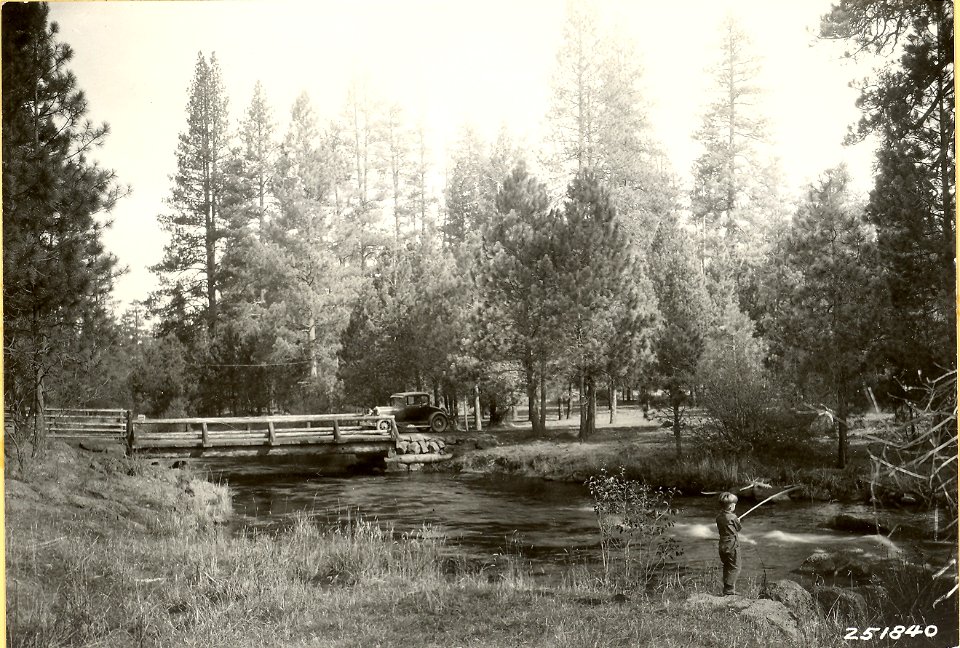 A young fisherman fishing in Metolius River near Allingham Bridge. L.D. Bailey, c1930