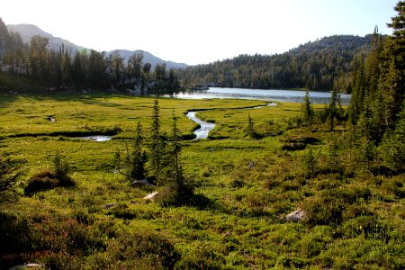 Meadow between Mirror and Moccasin Lakes, Eagle Cap Wilderness on the Wallowa-Whitman National Forest photo