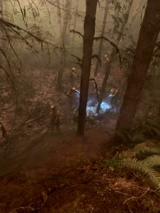 Archie Creek Fire
