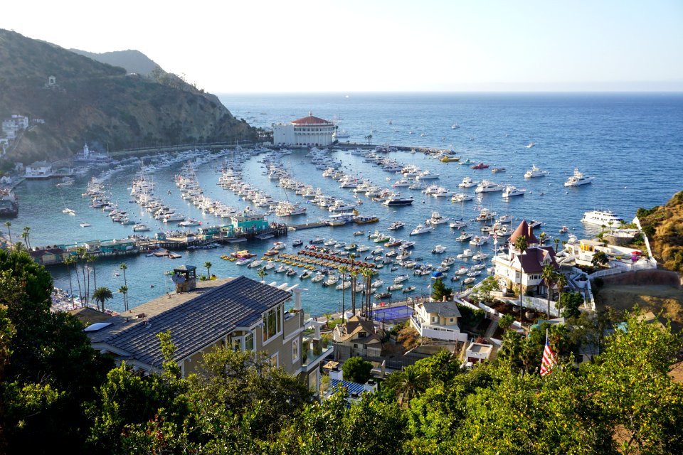 Catalina Island, CA (Unedited)