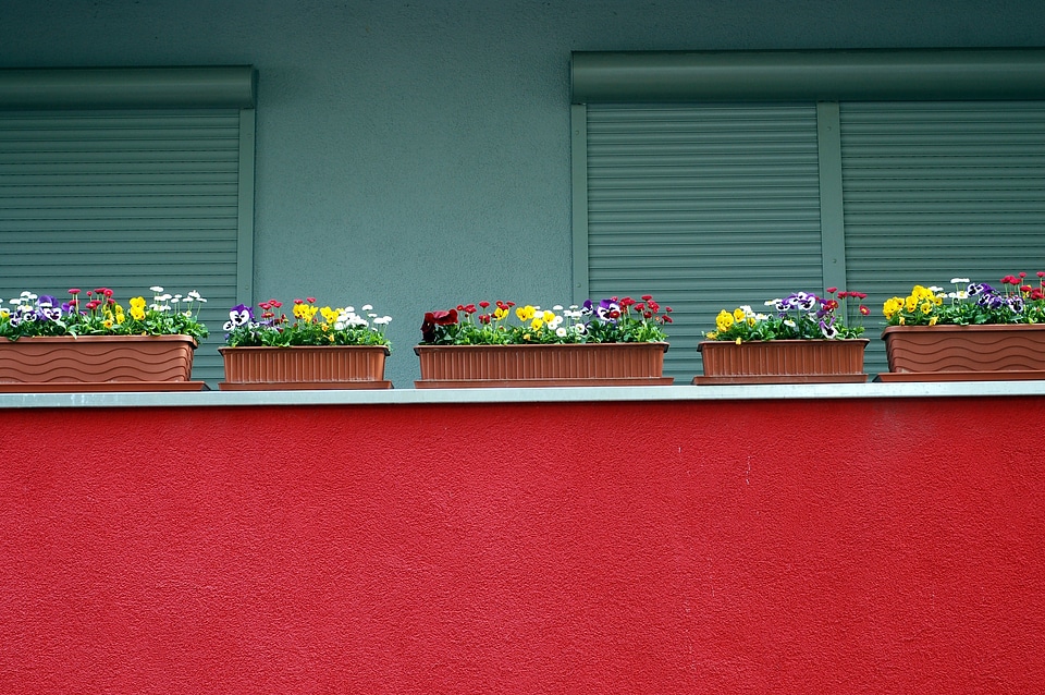 Modern building red flowers