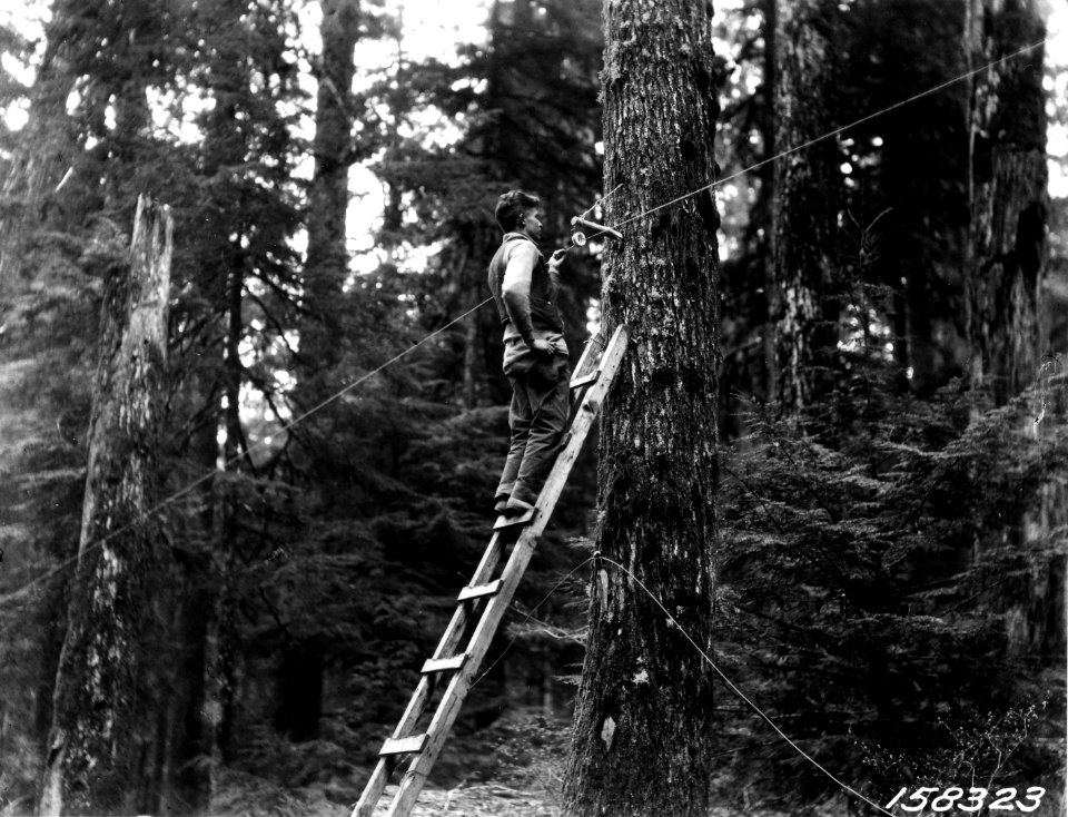 158323 Telephone Line Work, WA 1921