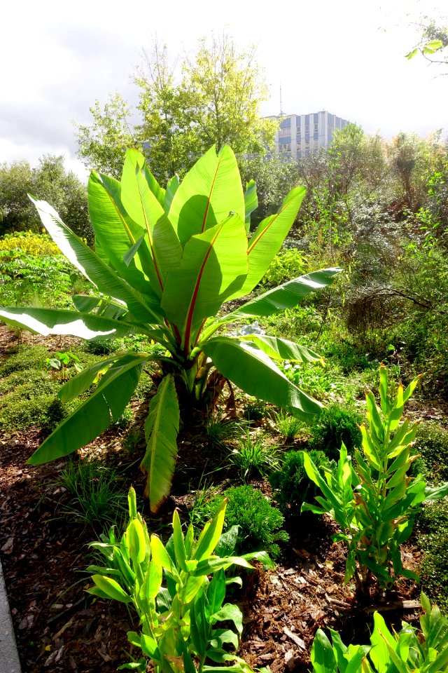 Le jardin extraordinaire de Nantes
