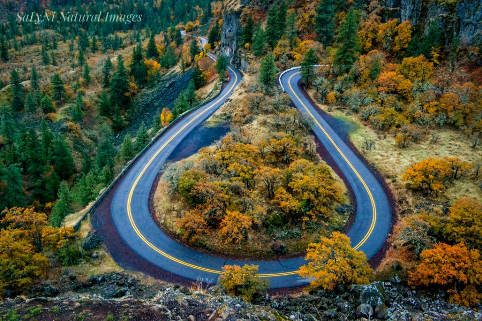 Rowena Crest, October 29, 2018, photo courtesy of Sandi Nicol (SaLyNi Natural Images)