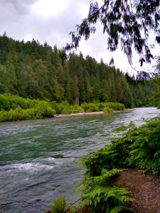Sauk River along the Old Sauk Trail on the Mt. Baker-Snoqualmie National Forest. Photo taken by Anne Vassar on June 16, 2020