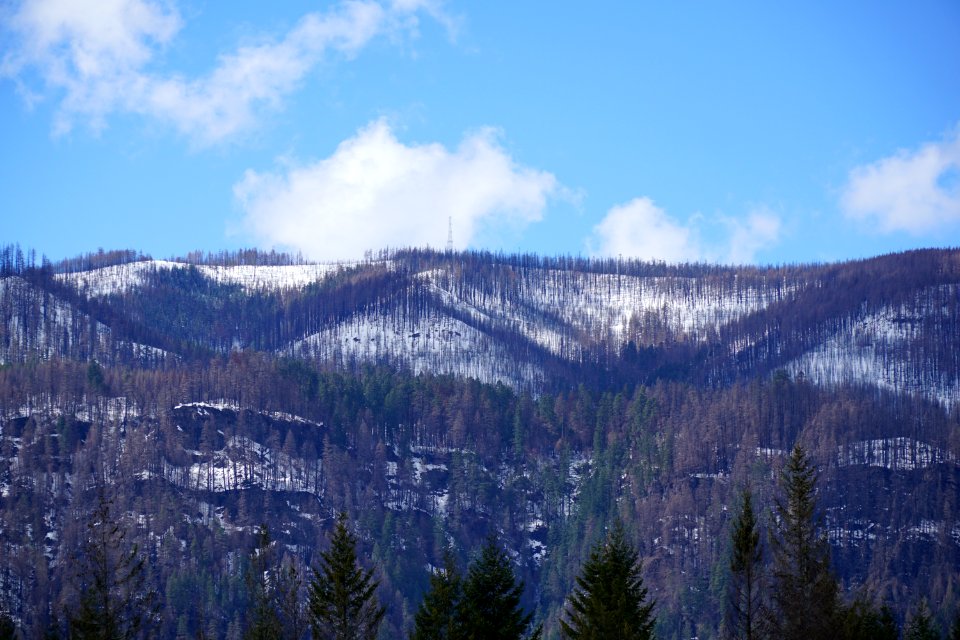 Riverside Fire ridges around Fish Creek, Mt. Hood National Forest