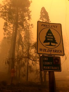 Archie Creek Fire