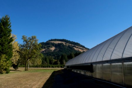 Dorena Genetic Resource Center's Greenhouse, Umpqua National Forest