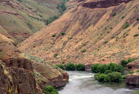Deschutes National Forest, Lower Deschutes River, Bureau of Land Management.jpg
