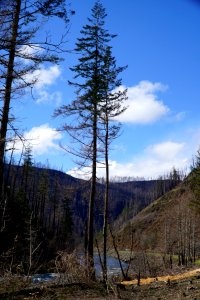 Moore Creek Boat Access, Mt. Hood National Forest