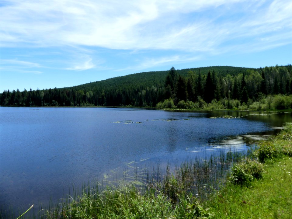 Big Meadow Lake Campground lake edge June 2020 by Sharleen Puckett