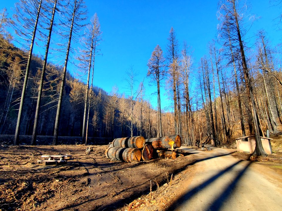 Roaring River Campground post-Riverside Fire, Mt. Hood National Forest
