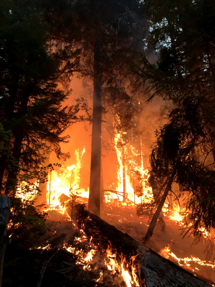 Archie Creek Fire, Heavy fuel loading on the fire's east flank