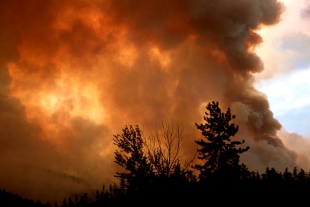 113 Rogue River-Siskiyou National Forest Biscuit Fire photo