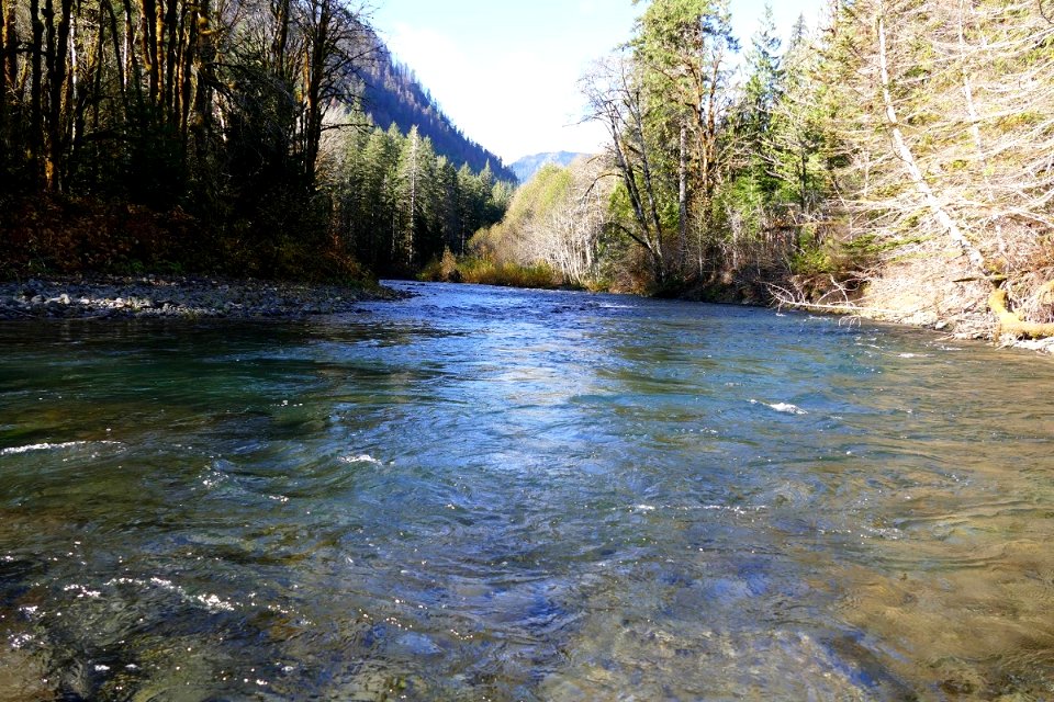 2019 Olympic Hamma Hamma River in October. (USDA Forest Service photo by Betsy Howell)