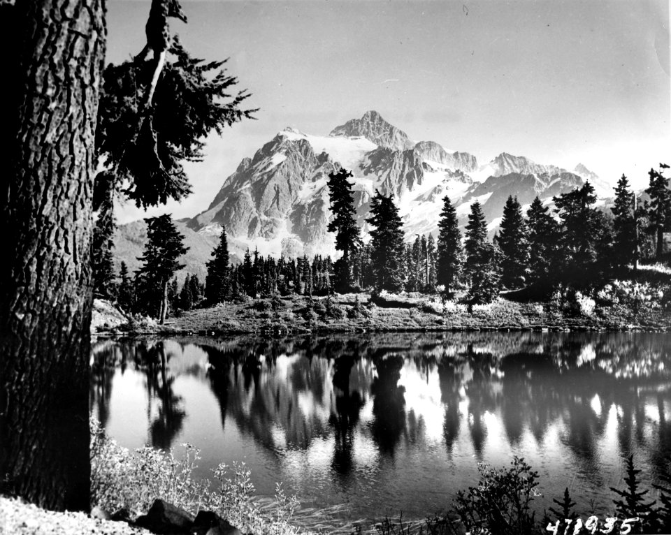 471935 Mt. Shuksan, Mt Baker NF, WA photo