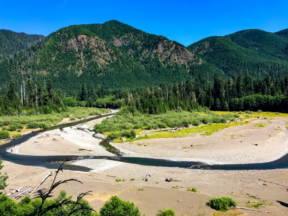 Olympic Bend in the Wynoochee River. Photo by Tharon Snuggs, USFS photo.